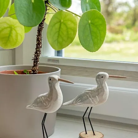 Knusthof Lafrenz - Nordwest *