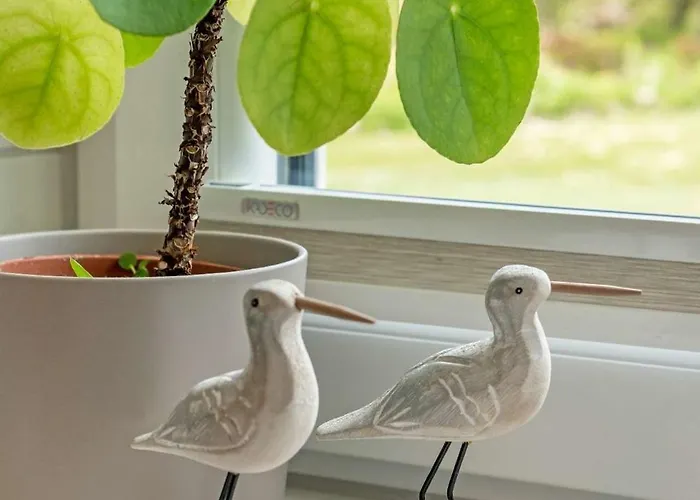 Knusthof Lafrenz - Nordwest *